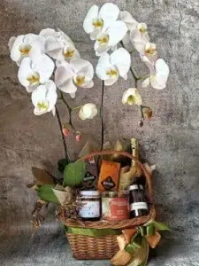 7 Orchid Gift Hamper for Any Occasion 3 7 Orchid Gift Hamper for Any Occasion