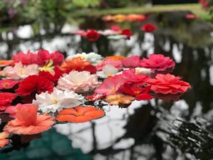 15 Corporate Event Floral Decor Ideas for Sophisticated Business Events 1 Corporate Event Floral Decor Ideas for Business Events