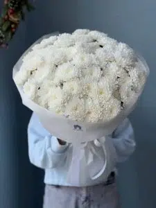 17 Apology Flowers to Say Sorry in a Meaningful Way 15 Apology Flowers to Say Sorry in a Meaningful Way