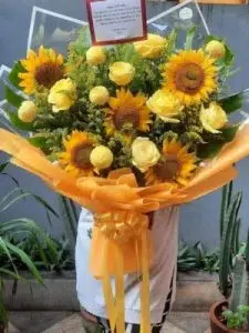 17 Apology Flowers to Say Sorry in a Meaningful Way 12 Apology Flowers to Say Sorry in a Meaningful Way