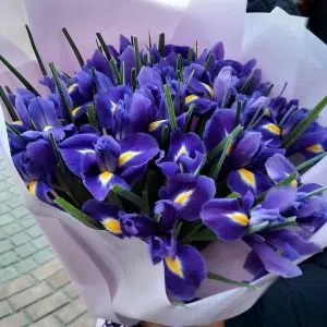17 Apology Flowers to Say Sorry in a Meaningful Way 11 Apology Flowers to Say Sorry in a Meaningful Way