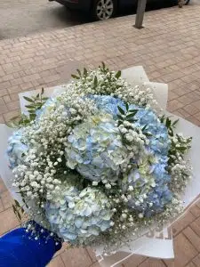 17 Apology Flowers to Say Sorry in a Meaningful Way 9 Apology Flowers to Say Sorry in a Meaningful Way
