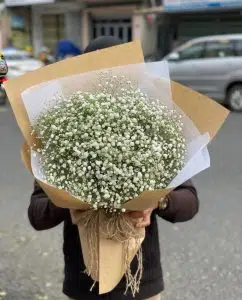 17 Apology Flowers to Say Sorry in a Meaningful Way 13 Apology Flowers to Say Sorry in a Meaningful Way