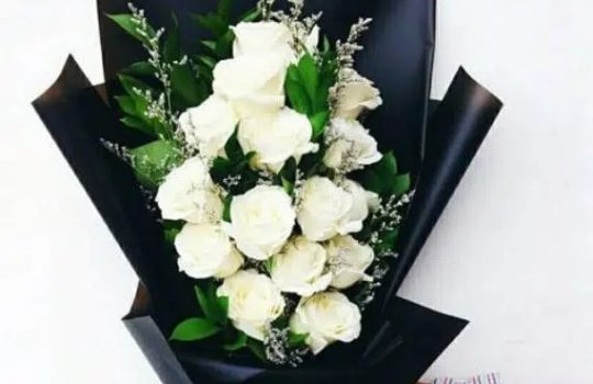 apology flowers