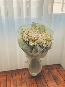 17 Apology Flowers to Say Sorry in a Meaningful Way 8 Apology Flowers to Say Sorry in a Meaningful Way