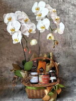 Orchid Hamper 1