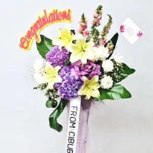 https://sentrabunga.com/wp-content/uploads/2023/03/Standing-Flower-Category-2.jpg.webp?utm_source=chatgpt.com