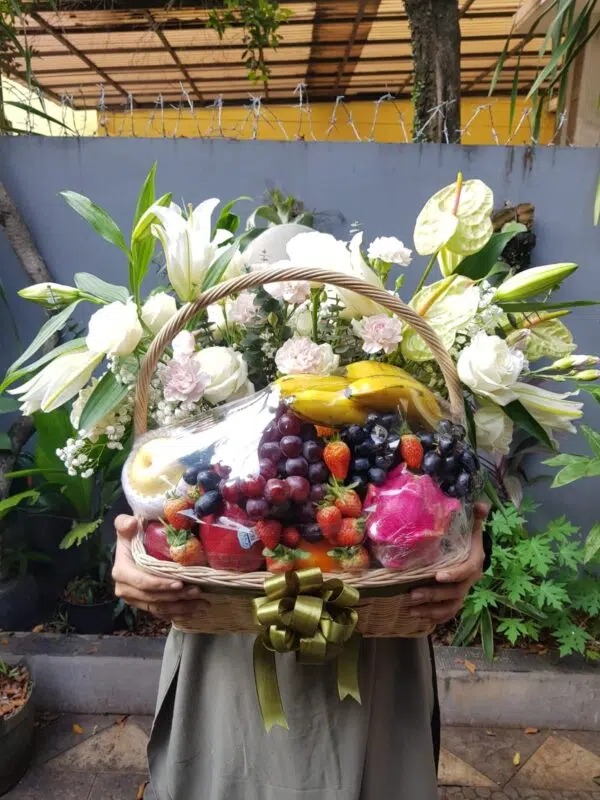 Premium Fruit Garden