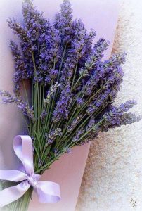 Apology Flowers to Say Sorry in a Meaningful Way