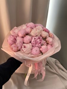 apology flower