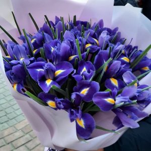 Apology Flowers to Say Sorry in a Meaningful Way